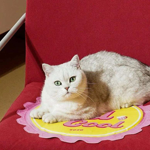 Cat Cooling Mat – Keep Your Pet Cool and Relaxed