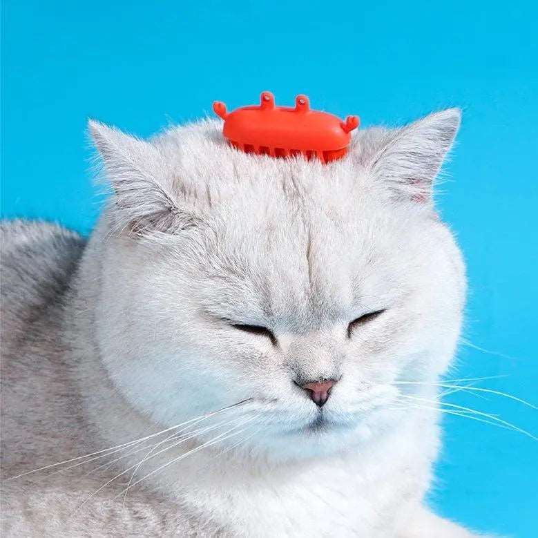 Interactive Red Crab Toy – The Ultimate Electronic Toy for Cats!
