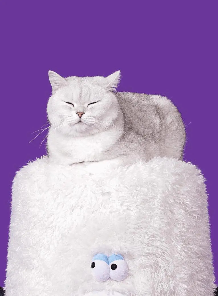 Ghost Cats' Lair Cat Play House: A Whimsical Sanctuary for Your Feline