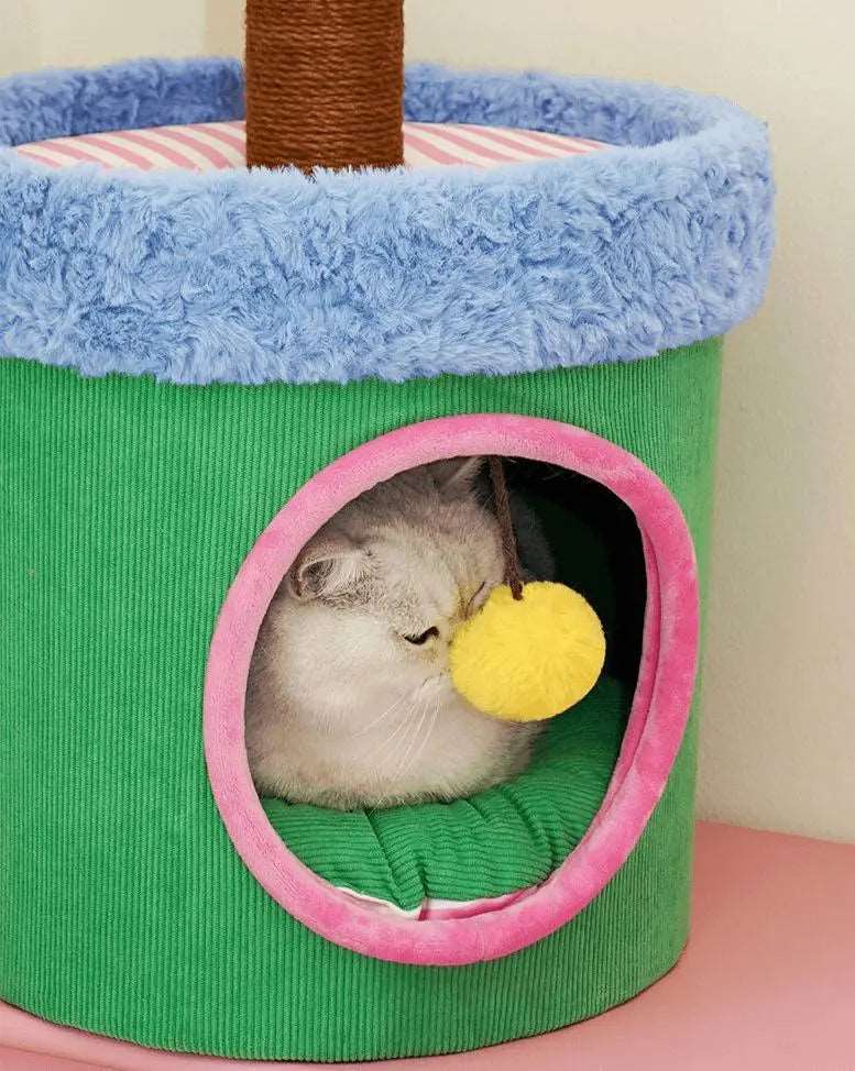 LOLLIPOP HOUSE Cat House - The Perfect Indoor Space for Your Cat
