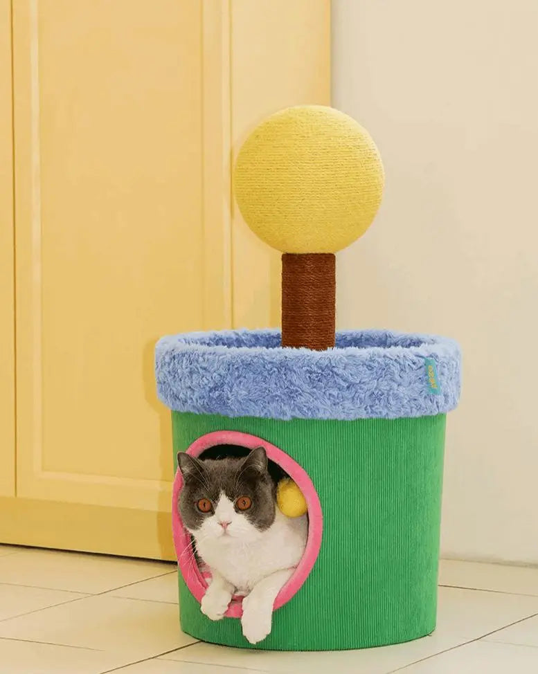 LOLLIPOP HOUSE Cat House - The Perfect Indoor Space for Your Cat